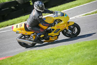 brands-hatch-photographs;brands-no-limits-trackday;cadwell-trackday-photographs;enduro-digital-images;event-digital-images;eventdigitalimages;no-limits-trackdays;peter-wileman-photography;racing-digital-images;trackday-digital-images;trackday-photos